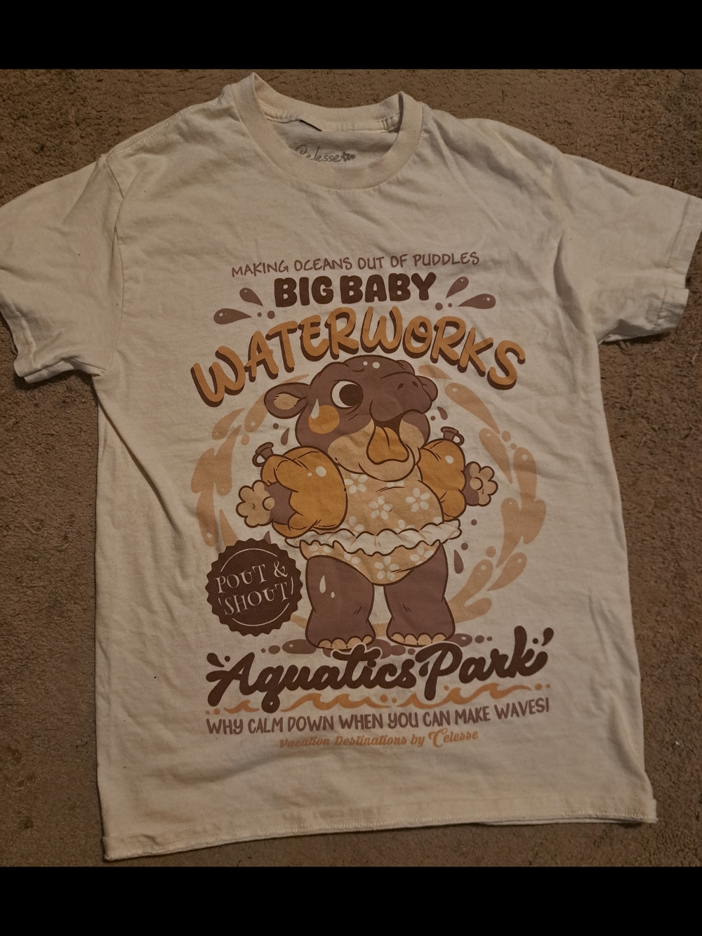 Big Baby Waterworks Aquatics Park Graphic Tee - Cream/Brown